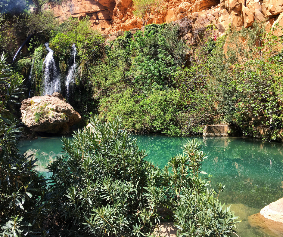 tlemcen boumerdes immo algerie